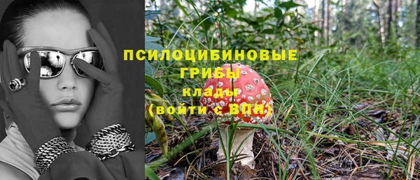 первитин Данков