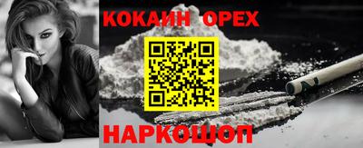 дмт Бийск