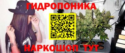 дмт Бийск