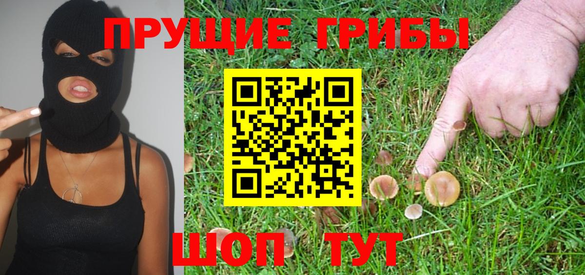 Галлюциногенные грибы прущие грибы  купить наркоту  Беслан  Вход с VPN 