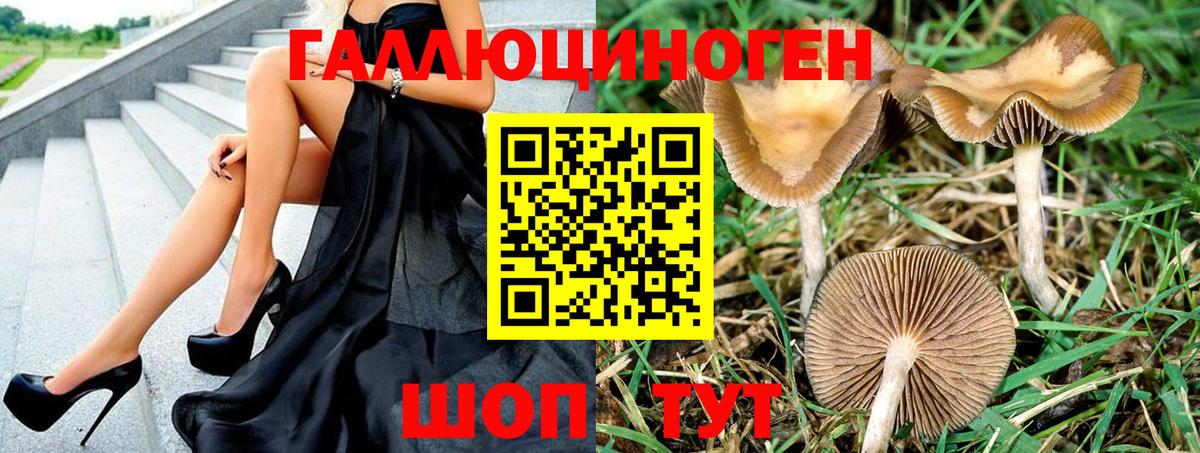 закладки  Беслан  Псилоцибиновые грибы MAGIC MUSHROOMS 